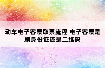 动车电子客票取票流程 电子客票是刷身份证还是二维码